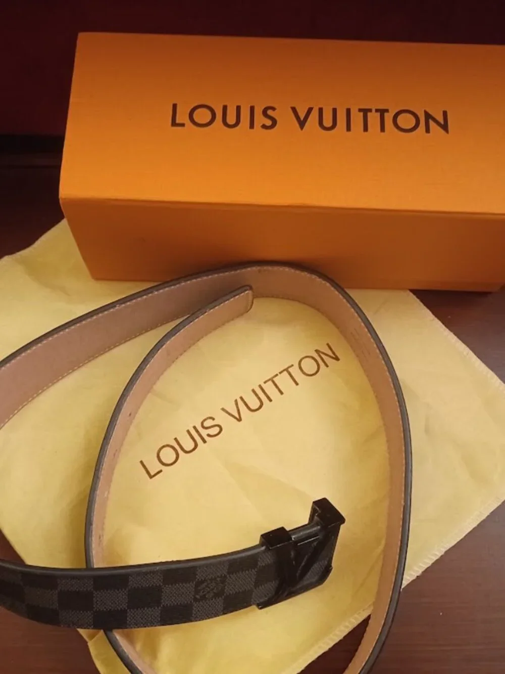 Louis Vuitton authentic louis